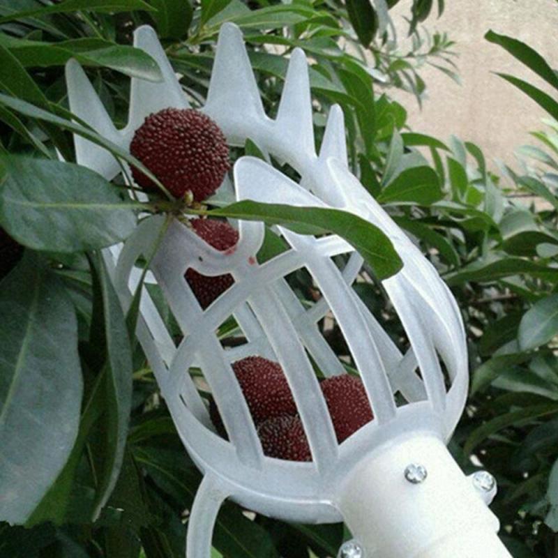 1pc Onvenient Fruit Picker Gardening Fruits - Image 3