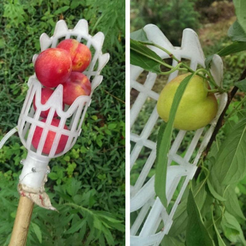 1pc Onvenient Fruit Picker Gardening Fruits - Image 4