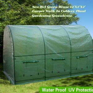 Alternative view of AULAYSED New Hot Green House Larger Walk