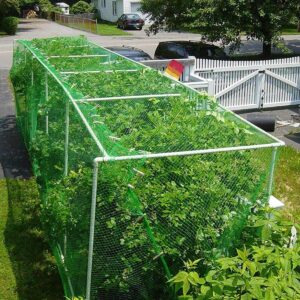 Alternative view of Anti Bird Netting Garden Netting Mesh Fruit Vegetables Net Protection Crops Garden Plant Covers Net Mesh Grow Fence Climbing Net