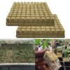 25/50/100pcs Rockwool Sheet Block Propagation Cloning Seed Raising Soilless Cultivation Hydroponic 25x25x40MM